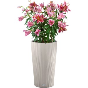 Lechuza Cilindro Color Pflanzgefäß, Ø 32 cm, sandbraun, mit rosa Lilien bepflanzt.