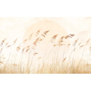 Komar Vliesfototapete mit Dünen-Gras Motiv in sanften Beige- und Brauntönen.