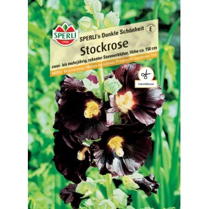 Samenpackung Stockrose 'SPERLI's Dunkle Schönheit' mit dunkelroten Blüten.