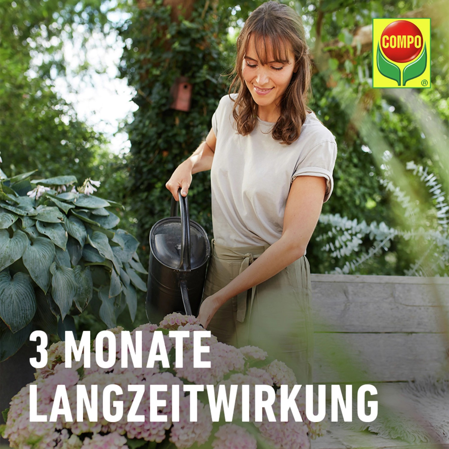 Compo Düngestäbchen für Balkon- und Kübelpflanzen mit Guano 30 Stäbchen_8