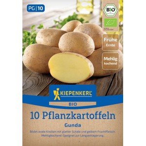 Kiepenkerl BIO Pflanzkartoffeln Gunda, 10 Stück, mit gelbem Fruchtfleisch.