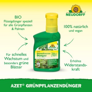 Neudorff Azet Plus Grünpflanzen-Dünger, 250ml Flasche für gesunde, grüne Pflanzen.
