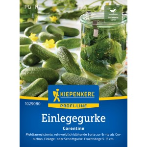 Kiepenkerl Gurken (Einlegegurken) Corentine