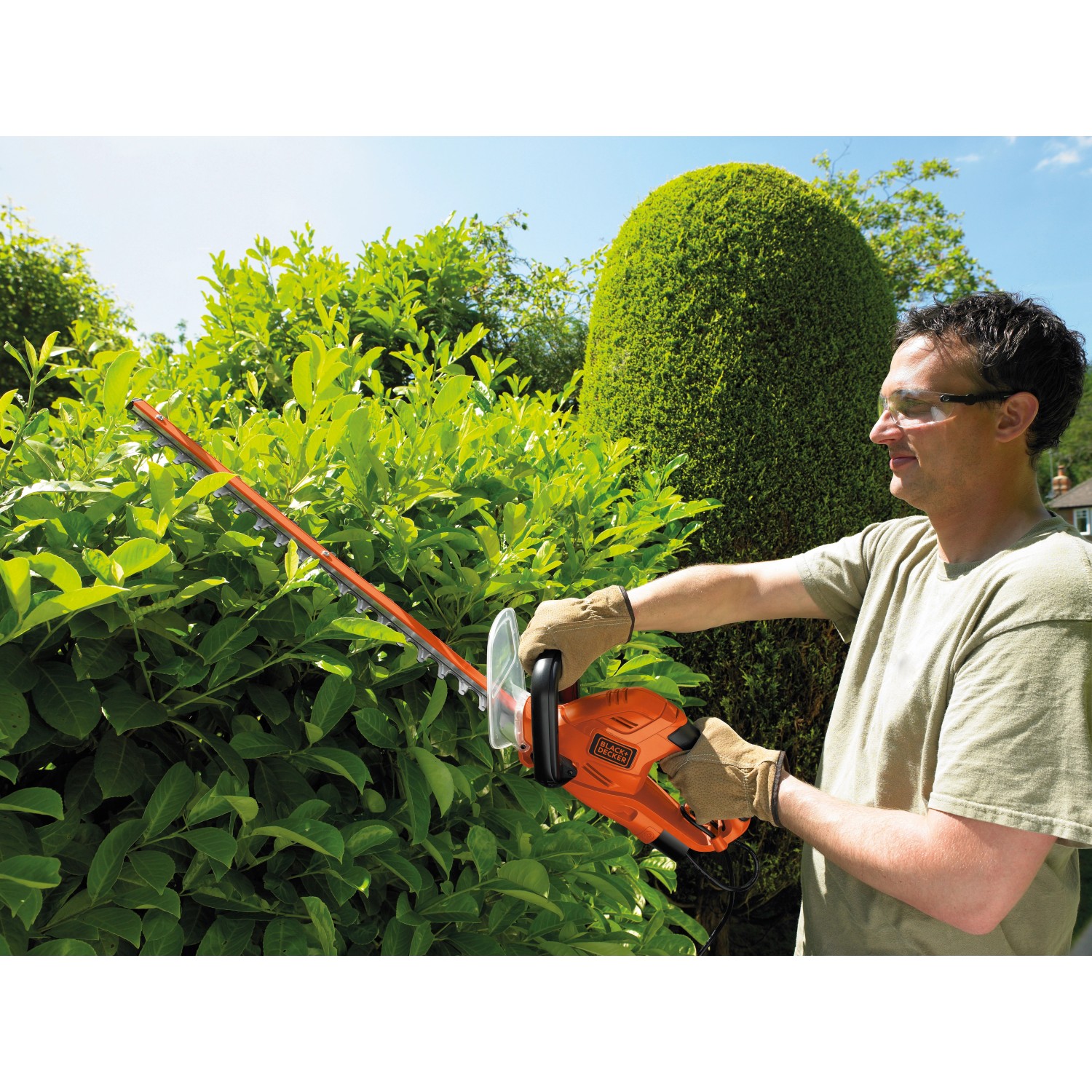 Black Decker Elektro-Heckenschere 550 W GT5560 kaufen bei OBI