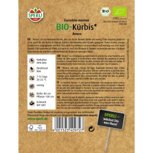 Sperli Bio-Kürbis Amoro Samenpackung, Hokkaido-Kürbis für Garten und Kübel.