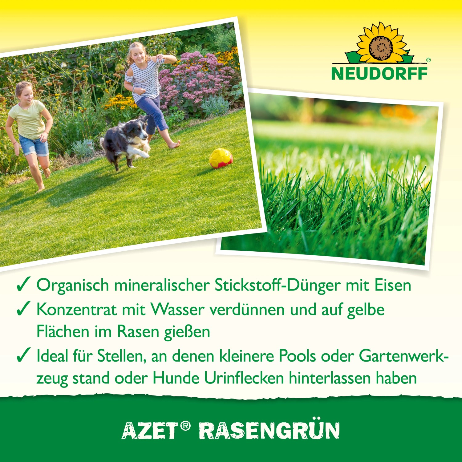 Neudorff Eisendünger Azet Rasengrün für einen grünen, gepflegten Rasen. Anwendung mit Gießkanne.