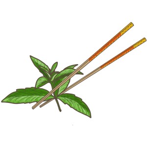 Illustration von Vietnamesischem Koriander mit Essstäbchen. Küchenkräuter für asiatische Gerichte.