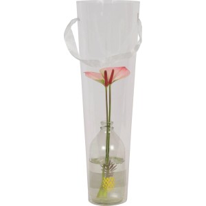 Schnitt-Flamingoblume in Ananas-Vase, modernes Arrangement im transparenten Cover.