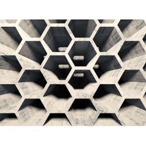 Fototapete Hexagon Muster 3D Effekt  Grau Beige 3,50 m x 2,55 m FSC®