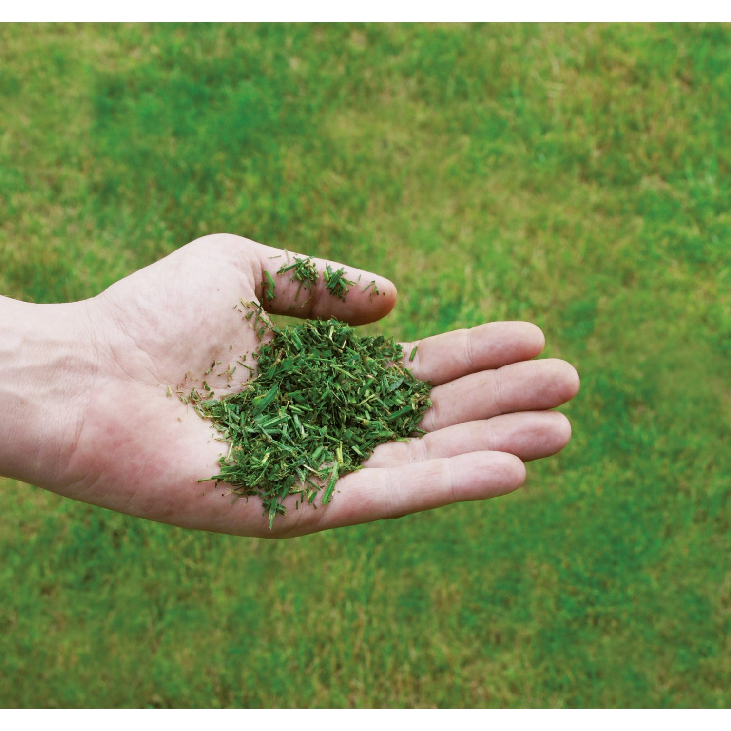 Grasfangsack-Inhalt des Einhell Benzin-Rasenmähers GC-PM 51/3 S HW-E in Hand