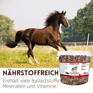 Galoppierendes braunes Pferd auf Wiese; Eimer Supravit Johannisbrot Pferdeleckerli, dunkle Schoten Pferdefutter.