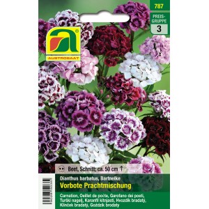 Austrosaat Bartnelken Saatgut „Vorbote Prachtmischung“ in verschiedenen Farben.