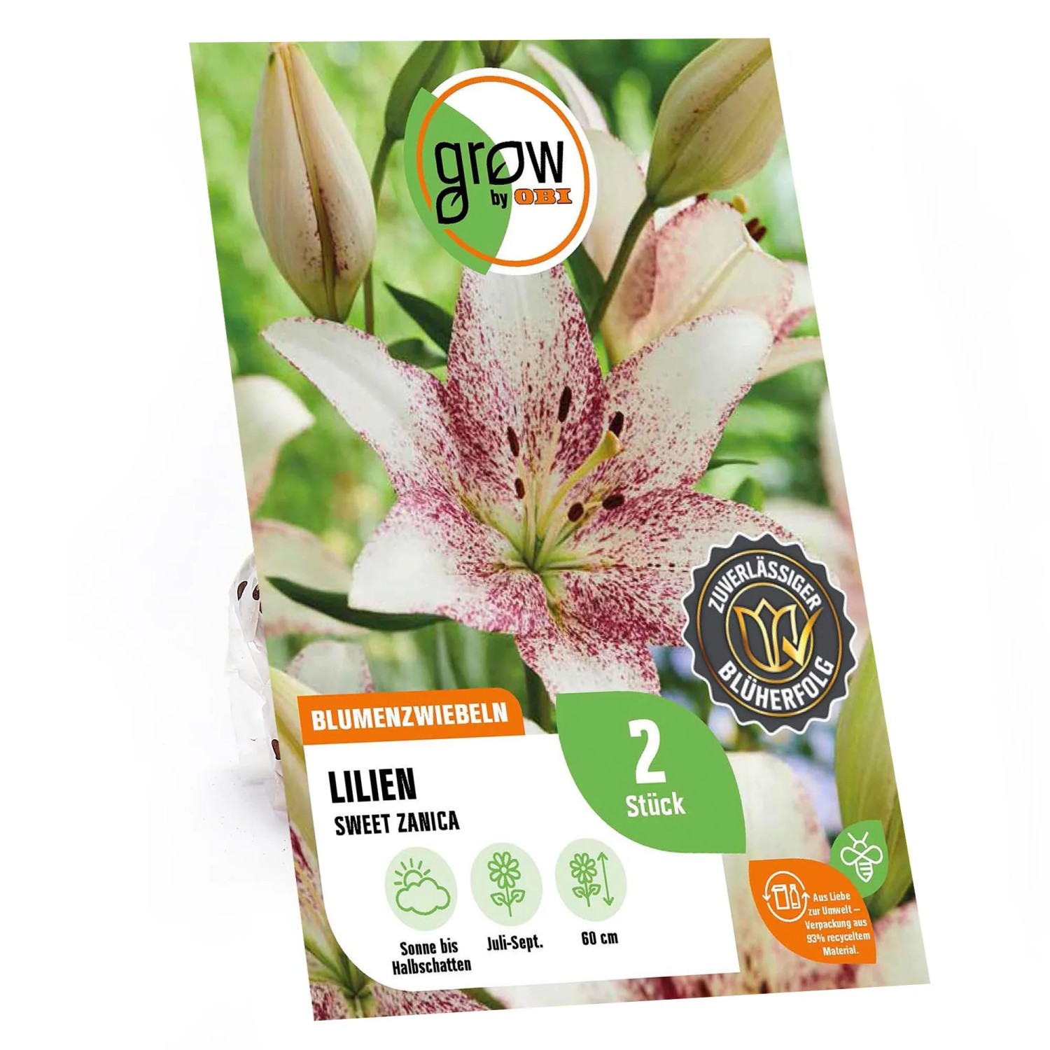 Verpackung der Lilie Asiatisch Sweet Zanica, weiße Blüte mit roten Sprenkeln. Kategorie: Blumenzwiebeln.