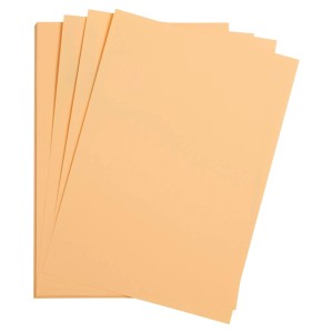 Clairefontaine Fotokarton Maya A4 270 g Aprikose 25 Bogen