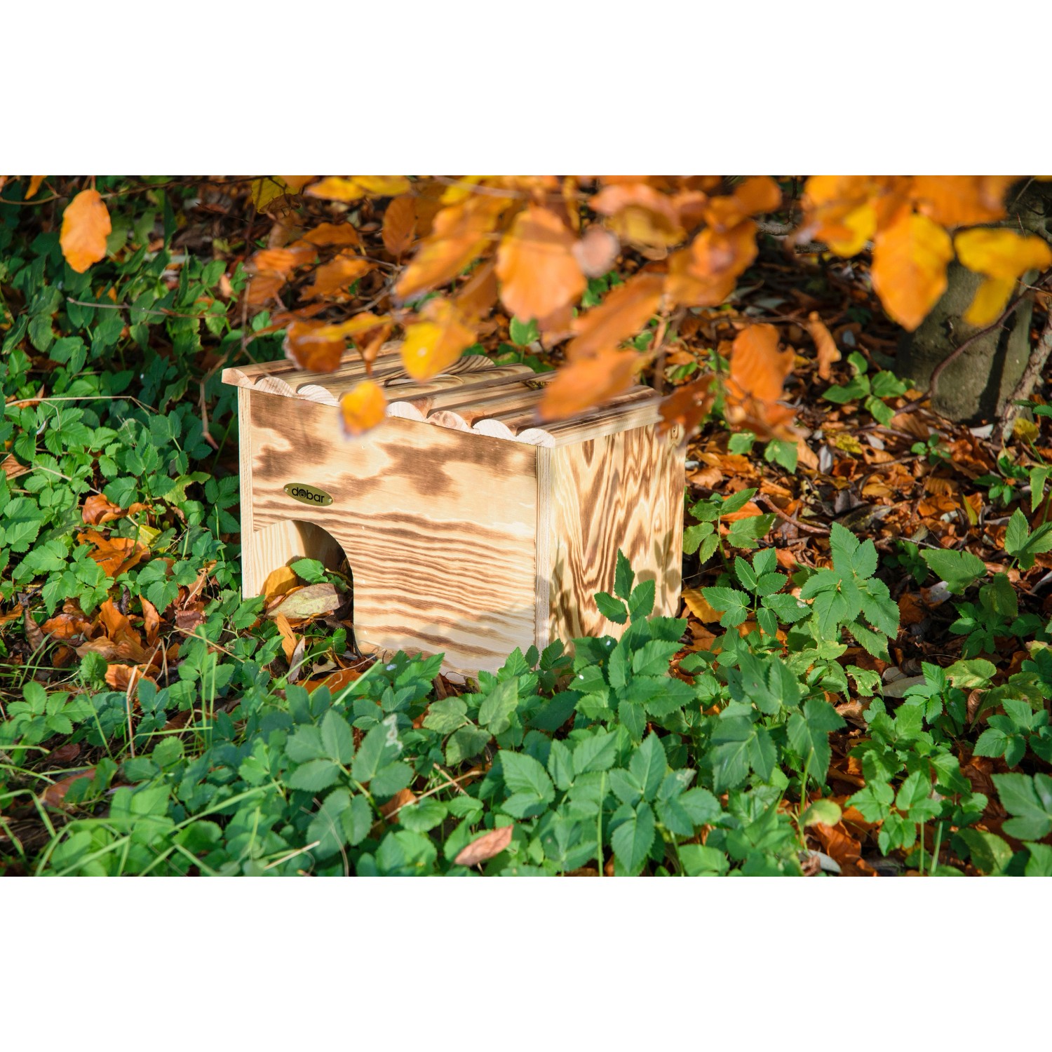 Geflammtes Kiefer Igelhaus mit Labyrintheingang im Garten, schützt Igel.