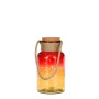 Dekorative LED-Flasche von Mica Decorations, bunt sortiert, 27 cm hoch, mit Kordel und Korken.