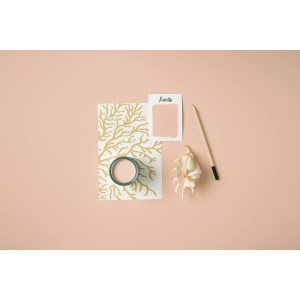 Rust-Oleum Kreidefarbe Möbellack Koralle, 125ml Dose mit Farbmuster, Pinsel und Muschel.