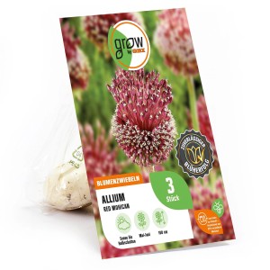 GROW by OBI Zierlauch Red Mohican, rote Blüte, 3 Stück Blumenzwiebeln für Beet und Garten.