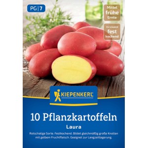 Kiepenkerl Pflanzkartoffel Laura ,10 St