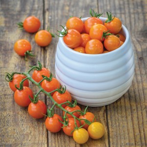 Gelbe Cherrytomaten der Sorte Grow by OBI im Topf und auf einem Holztisch.