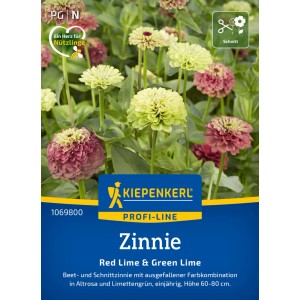 Kiepenkerl Zinnie Red Lime + Green Lime Saatgut mit rosa und limettengrünen Blüten.
