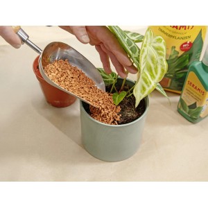 Seramis Pflanzgranulat wird in einen Topf mit Zimmerpflanze gefüllt. Im Hintergrund ist eine Packung Seramis zu sehen.