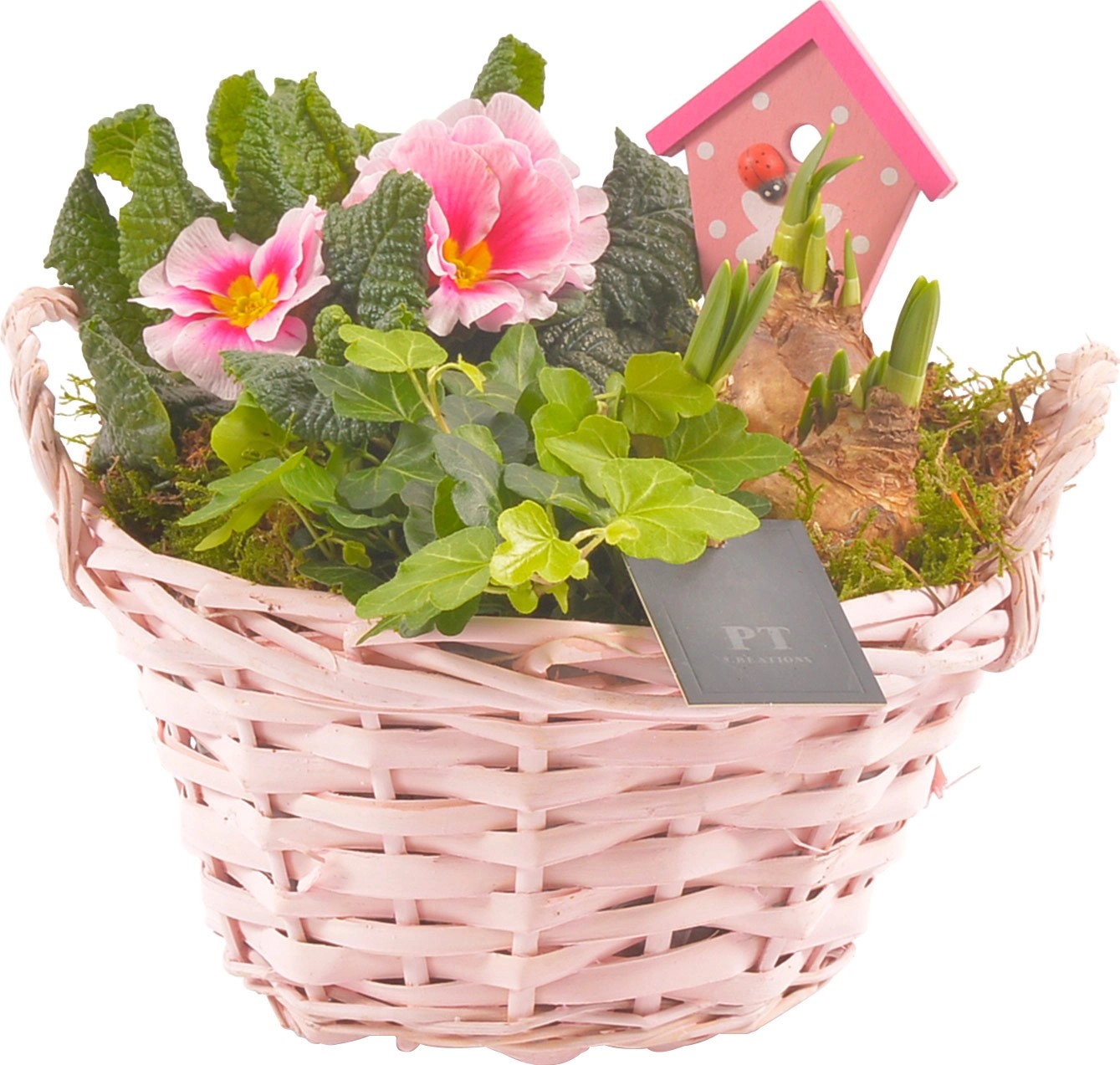 Buntes Frühlingsarrangement mit Tausendschön in Holzkorb TopfØ ca. 20
