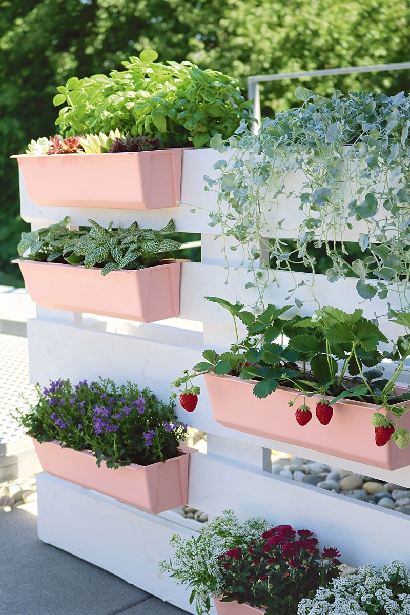 Geli Pflanzgefäß für Europaletten Easy 37 cm x 13,5 cm x 10 cm Zartrosa