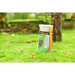 Compo Saat Rasen-Reparatur Komplett Mix+ 4 kg