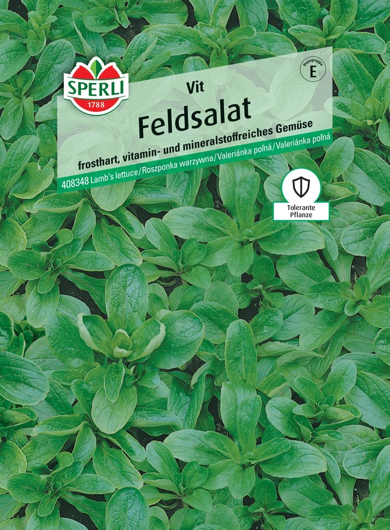 Sperli Feldsalat Vit kaufen bei OBI