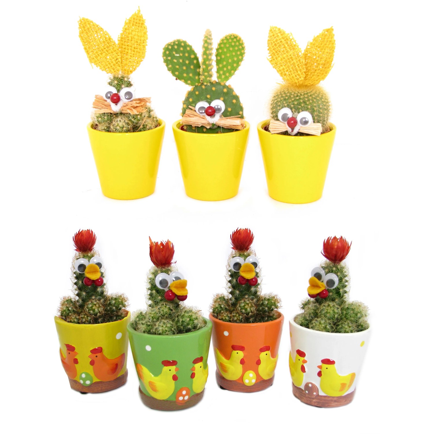 Lustiges Osterarrangement mit Mini-Kaktus Topf- ca. 7 cm kaufen bei OBI