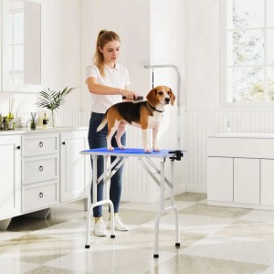 Blauer PawHut Hundefellpflegetisch, klappbar, mit rutschfester Gummiplatte und verstellbarem Arm für Hundepflege.