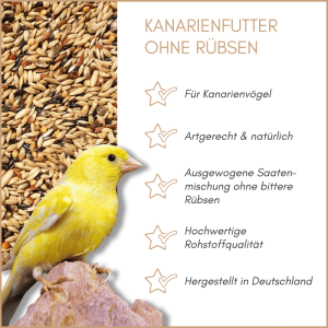 Gelber Kanarienvogel vor einer Saatenmischung. SUPRAVIT Kanarienfutter ohne Rübsen, ausgewogen & hochwertig.