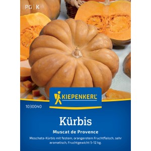 Kiepenkerl Kürbis Speise Muscat de Provence