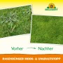 Vorher/Nachher: Rasen mit Unkraut, dann dichter, grüner Rasen dank Neudorff Rasendünger Moos- & Unkrautstopp.