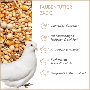 Supravit Taubenfutter BASIS: Weiße Taube vor Körnermischung. Artgerechtes Allroundfutter.