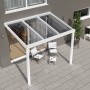 Weiße Terrassenüberdachung Professional (300x200 cm) mit klarer Polycarbonat-Platte.