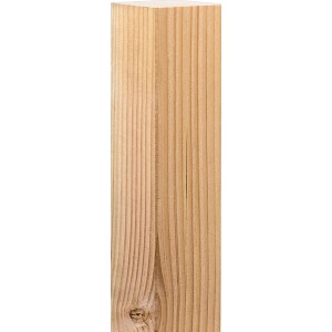 Pfosten Douglasie glatt 9 cm x 9 cm x 200 cm