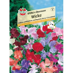 Samenpackung Sperli Wicke Überriesen Rot: Rankende, duftende Blumen in verschiedenen Rottönen.