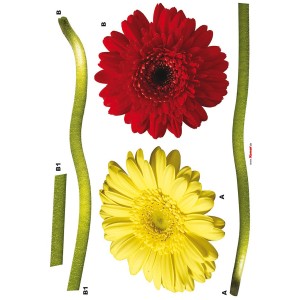 Komar Deko-Sticker Gerbera: Rote und gelbe Gerbera-Blüten mit grünen Stielen für Wandgestaltung.