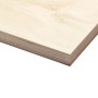 Multiplex Birke Platte, 125x83 cm, 1,5 cm stark, für Möbelbau & Regalböden.