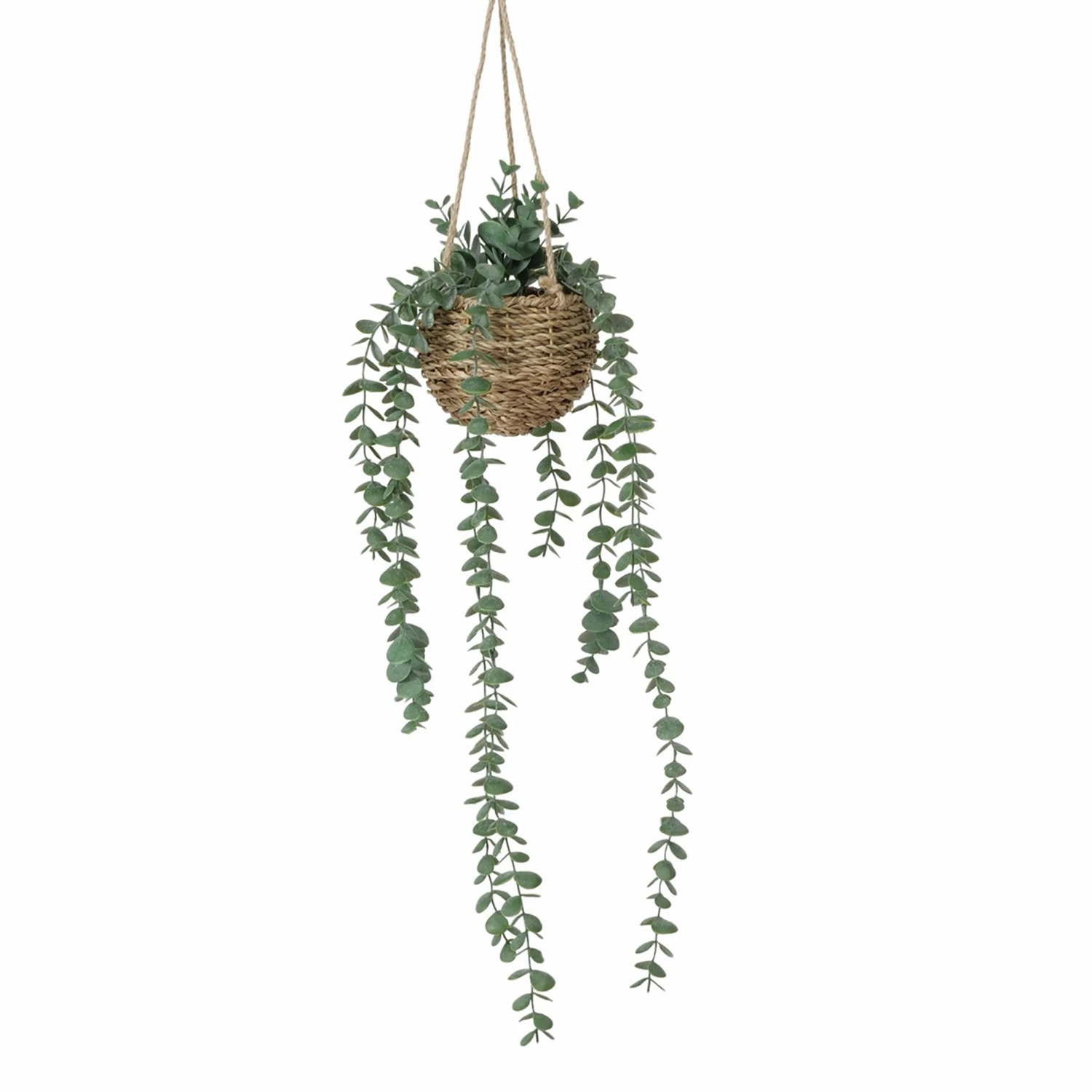 Boltze Topfpflanze Ansel 78 cm x 18 cm x 78 cm Grn kaufen bei OBI