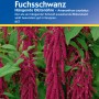 Kiepenkerl Fuchsschwanz Rot: Hängende, rote Blütenstände im Staudenbeet.