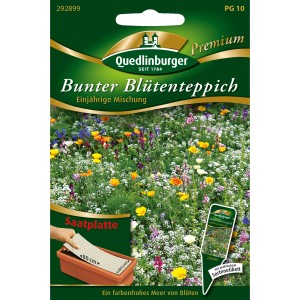 Quedlinburger Bunter Blütenteppich Saatplatte für Balkon & Beet. Einjährige Blumenmischung für farbenfrohe Blütenpracht.