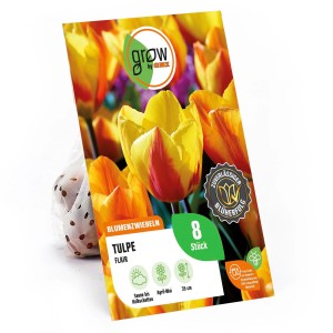 GROW by OBI Tulpe Flair, orange-gelb, 8 Stück. Blumenzwiebeln für Beet und Kübel.