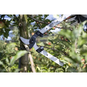 Felco Astschere 221-90 beim Schneiden eines Astes im Garten.