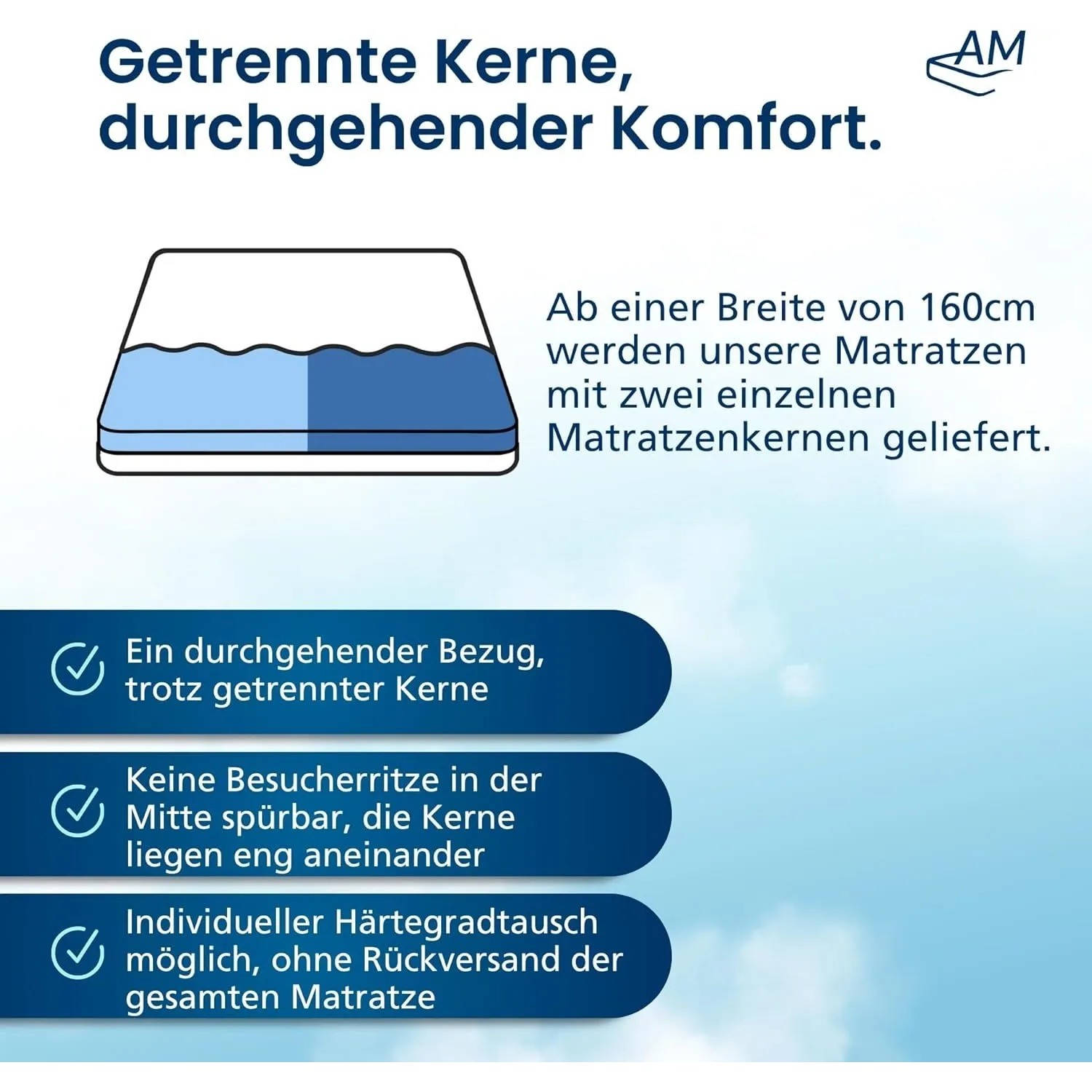 AM Qualitätsmatratzen Premium 1000 Federn/2 m² Taschenfederkernmatratze Made in Germany 120x220cm H5_5