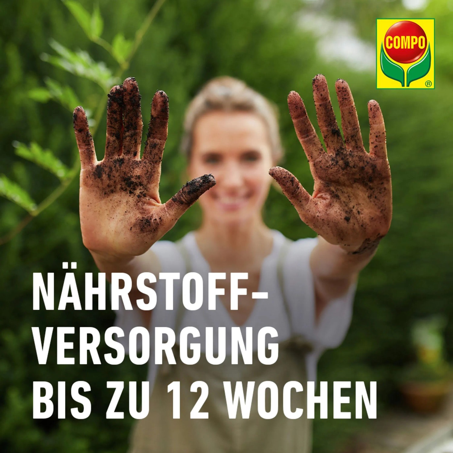 Compo Qualitäts-Blumenerde ca. 50 Prozent weniger Gewicht 1 x 40 l_8