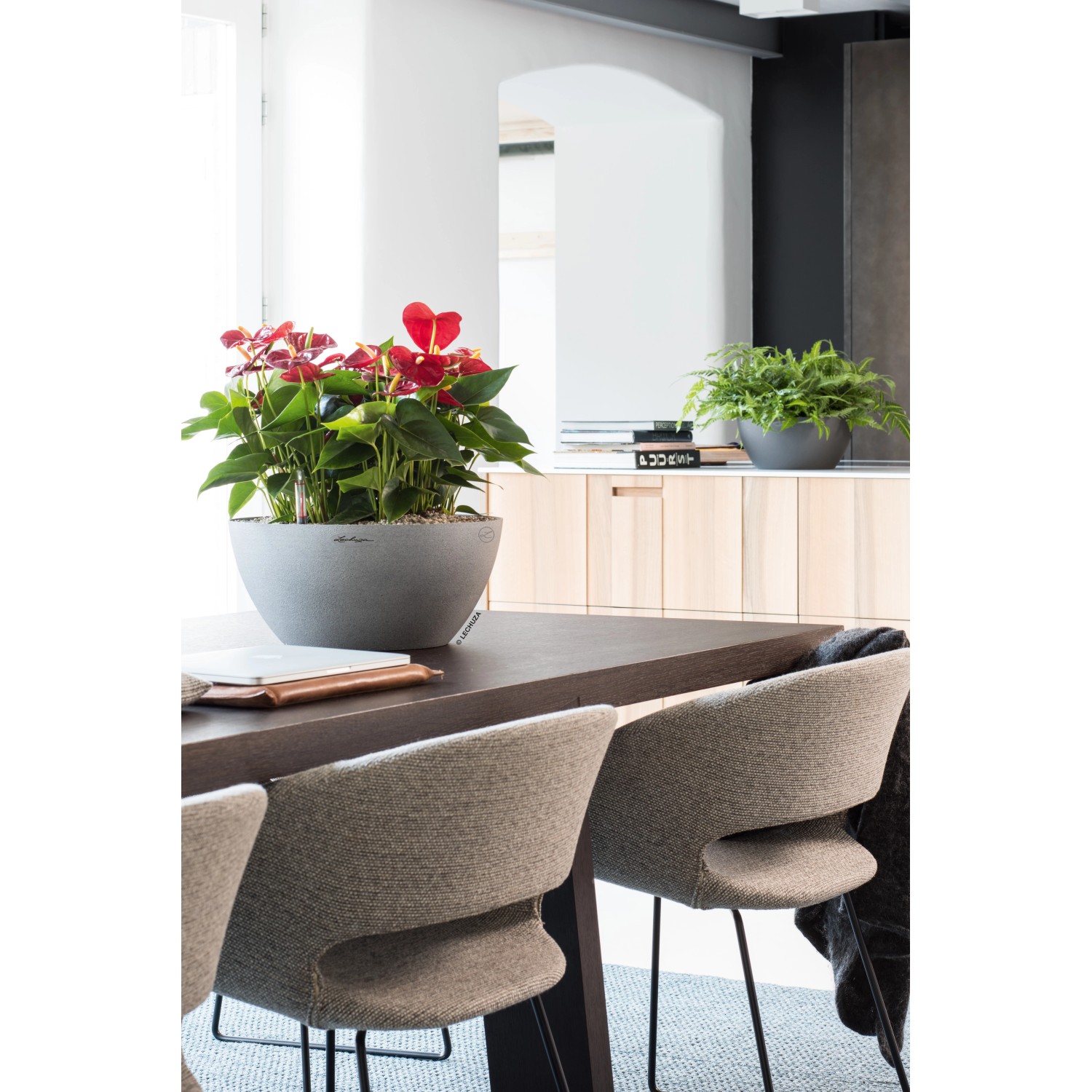 Lechuza Cubeto Stone 40 Pflanzgefäß in Steingrau mit roter Pflanze auf Tisch.