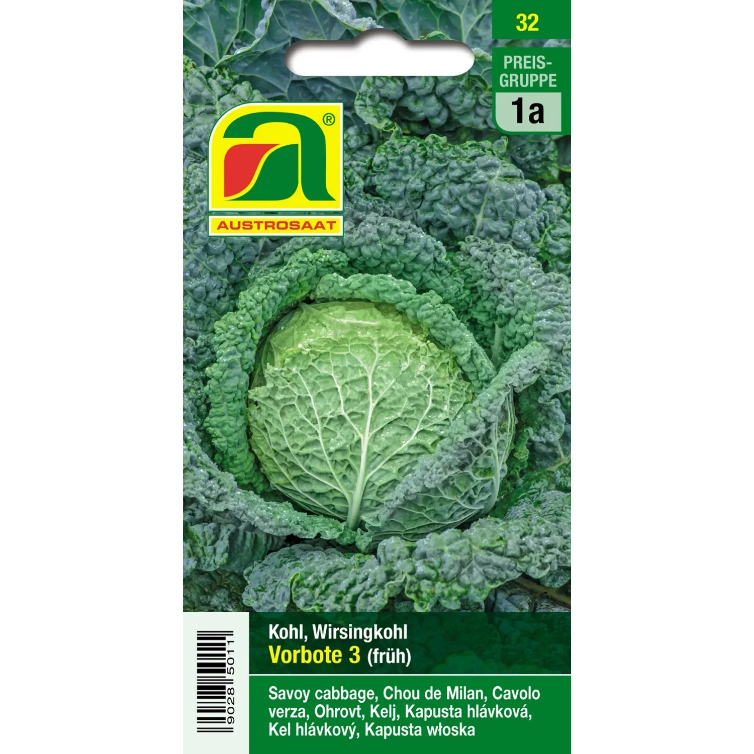 Austrosaat Saatgut Kohl (Wirsingkohl) "Vorbote 3" Frhsorte mit hochrundem  Kopf kaufen bei OBI